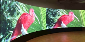 Pantalla led curva