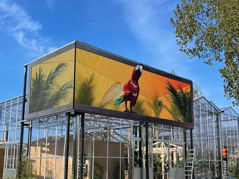 DOOH_0006